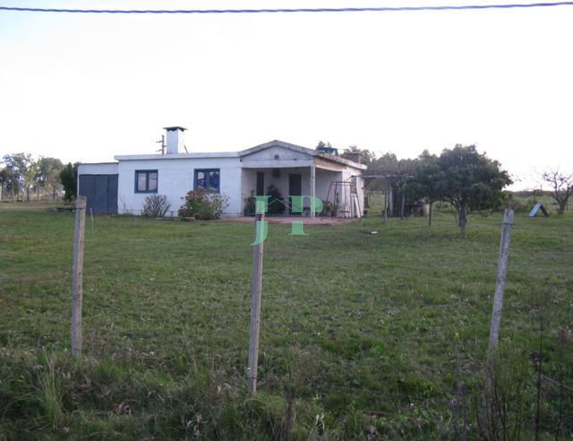 Chacra ID.557 - 