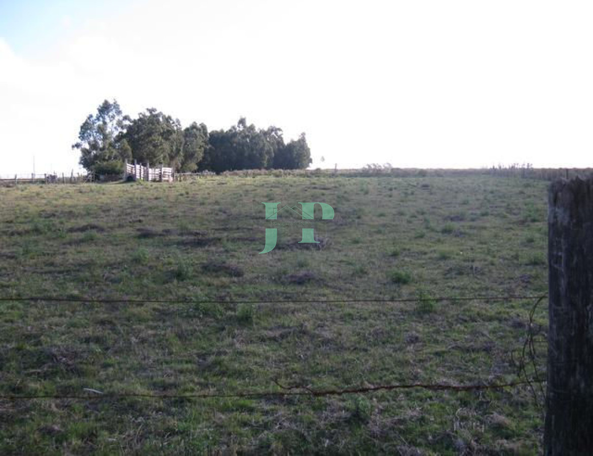 Chacra ID.557 - 