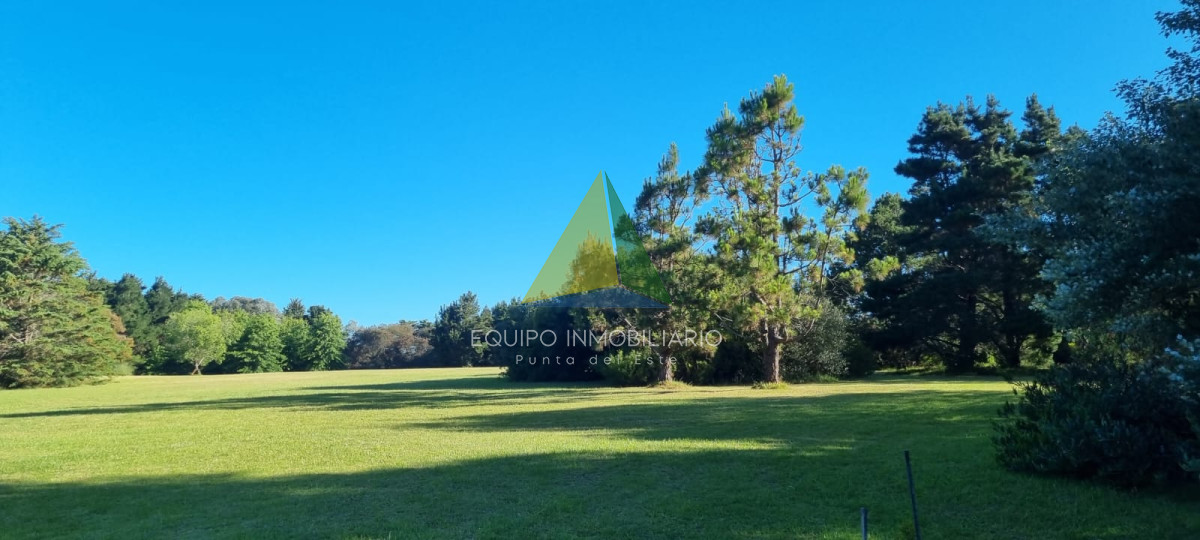 José Ignacio - GoPunta - Portal Inmobiliario de Punta del Este - Maldonado