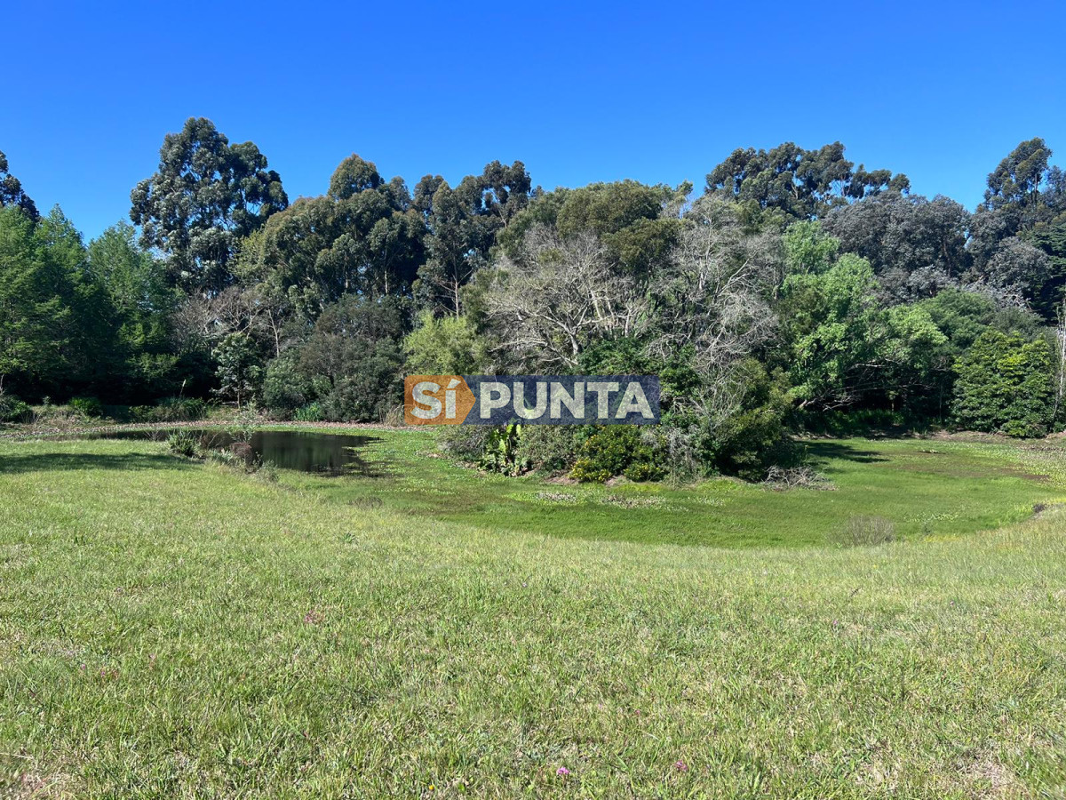 Chacra ID.12111 - Chacra soñada en José Ignacio 