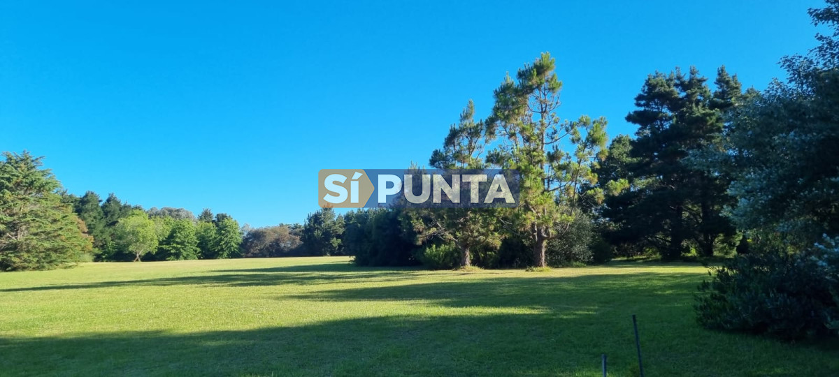 Chacra ID.12111 - Chacra soñada en José Ignacio 