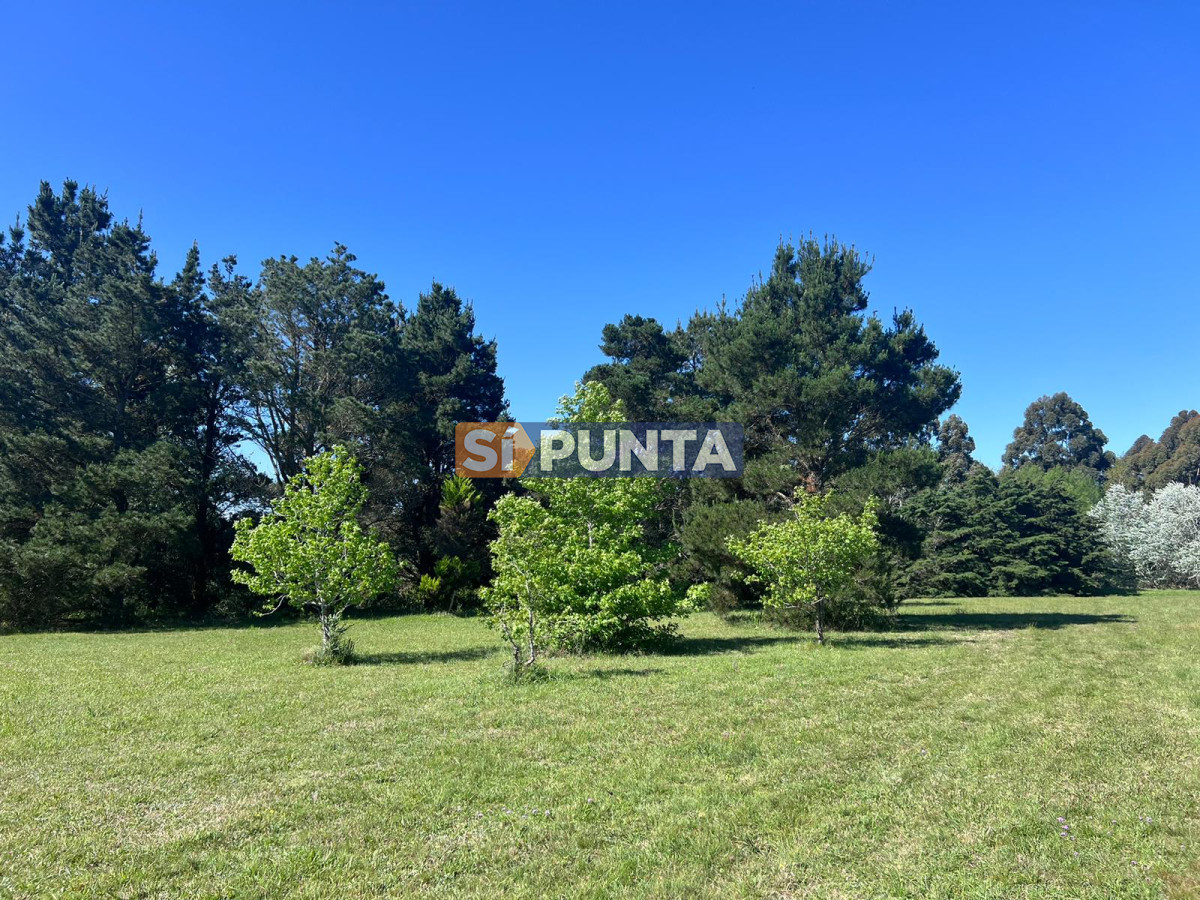 Chacra ID.12111 - Chacra soñada en José Ignacio 