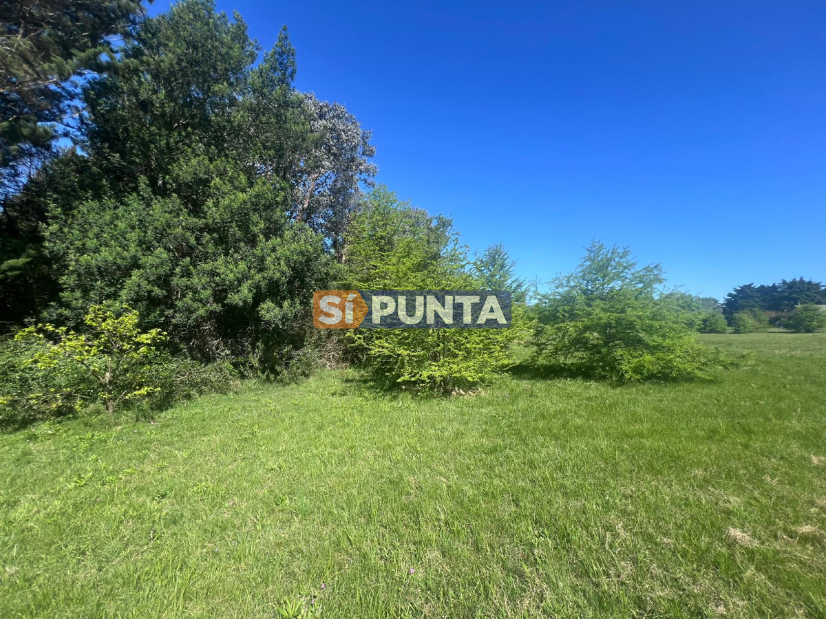 Chacra ID.12111 - Chacra soñada en José Ignacio 