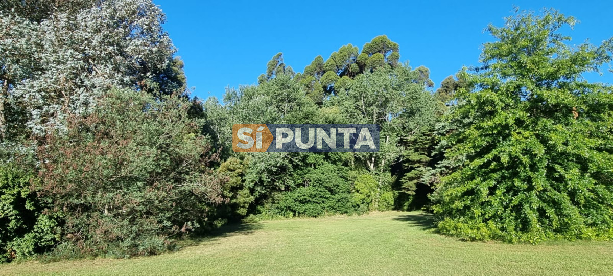 Chacra ID.12111 - Chacra soñada en José Ignacio 