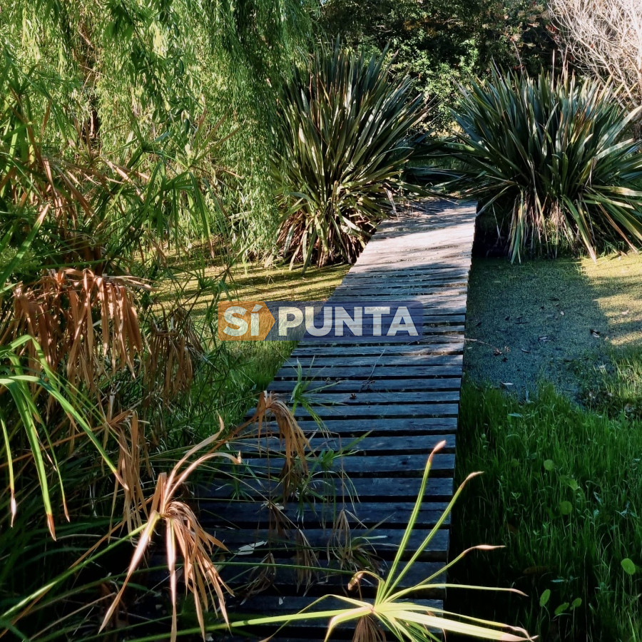 Chacra ID.12111 - Chacra soñada en José Ignacio 