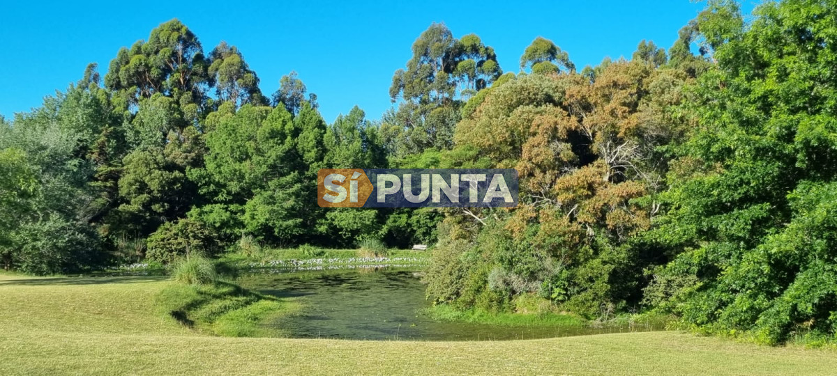 Chacra ID.12111 - Chacra soñada en José Ignacio 