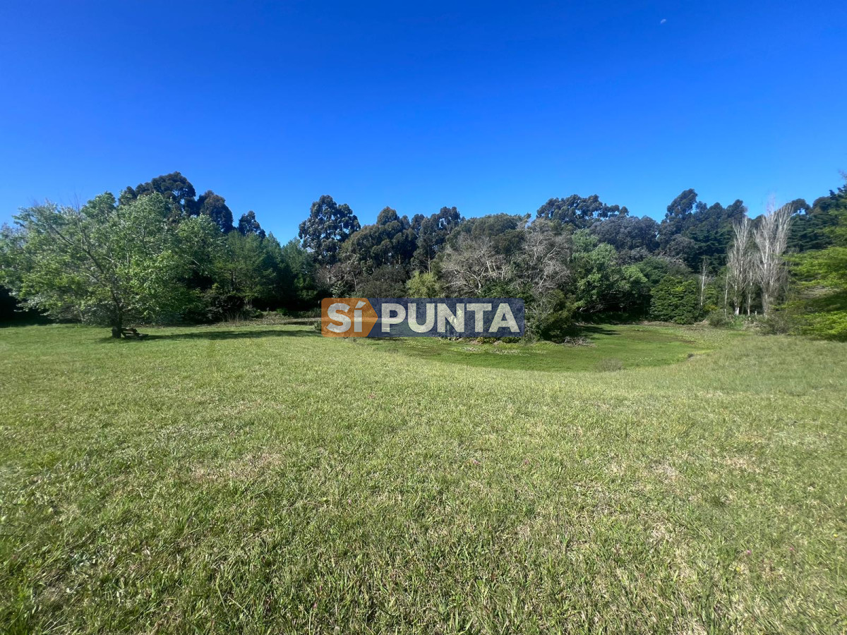 Chacra ID.12111 - Chacra soñada en José Ignacio 