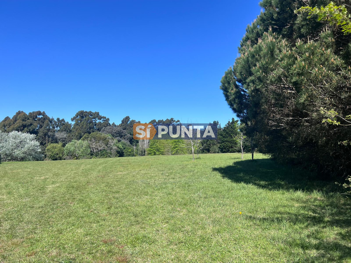 Chacra ID.12111 - Chacra soñada en José Ignacio 