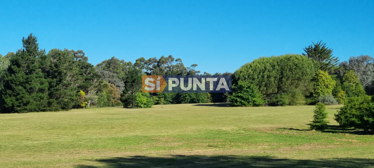 Chacra ID.12111 - Chacra soñada en José Ignacio 