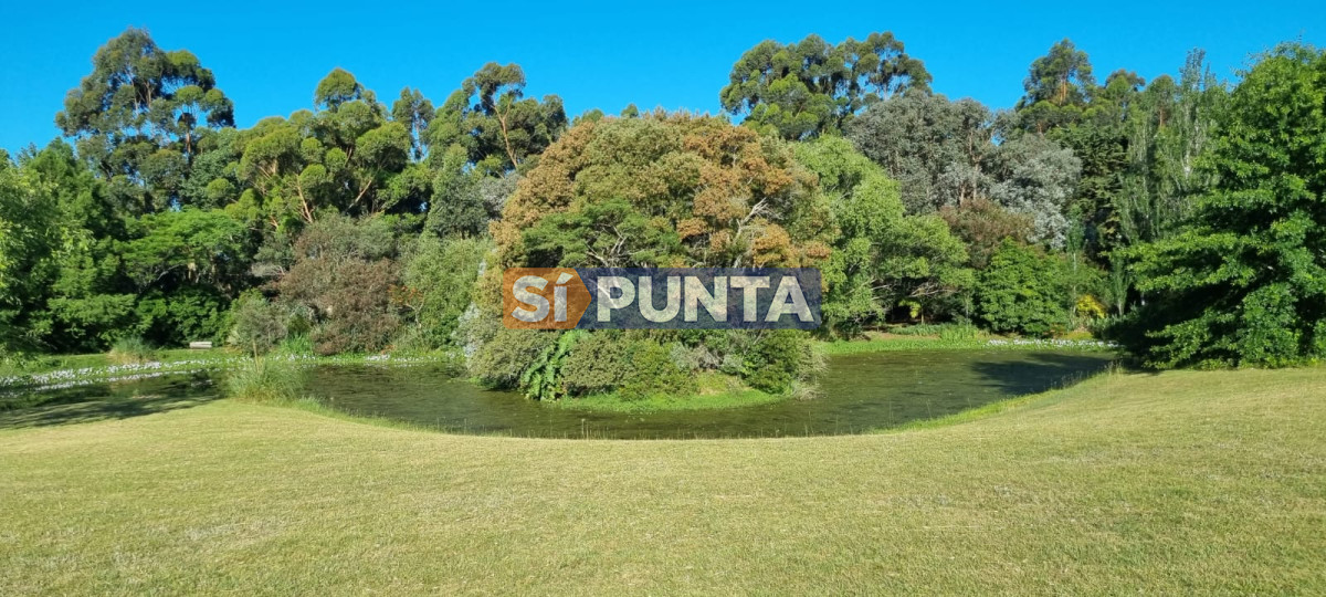 Chacra ID.12111 - Chacra soñada en José Ignacio 