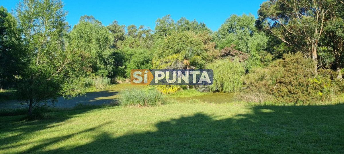 Chacra ID.12111 - Chacra soñada en José Ignacio 