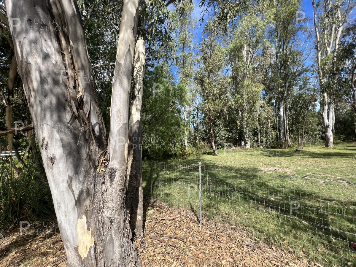 Terreno ID.1704 - 8 Terrenos de 500 m2 aprox en El Tesoro - La Barra