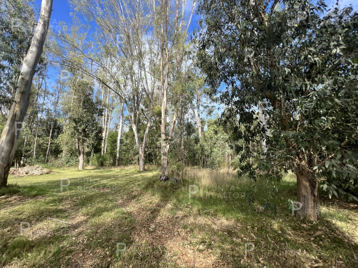 Terreno ID.1704 - 8 Terrenos de 500 m2 aprox en El Tesoro - La Barra