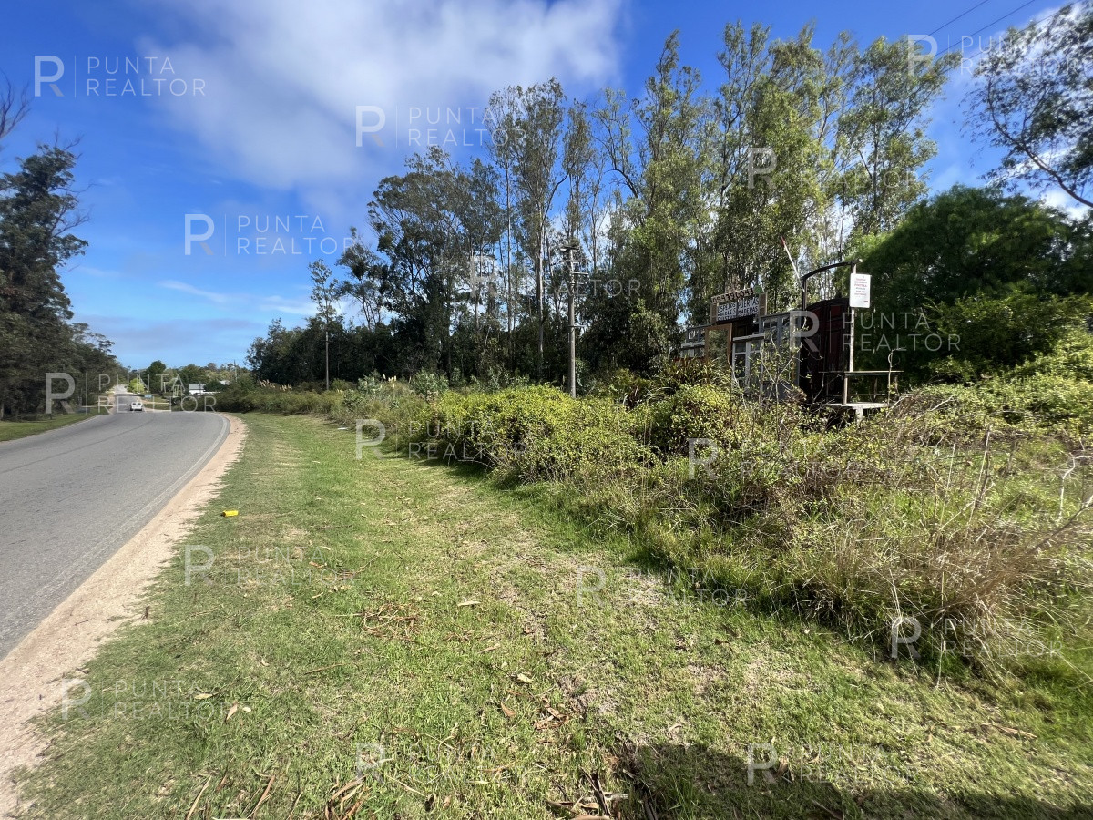 Terreno ID.1704 - 8 Terrenos de 500 m2 aprox en El Tesoro - La Barra