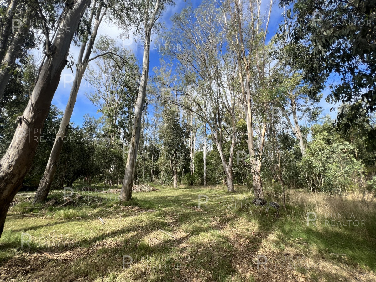 Terreno ID.1704 - 8 Terrenos de 500 m2 aprox en El Tesoro - La Barra