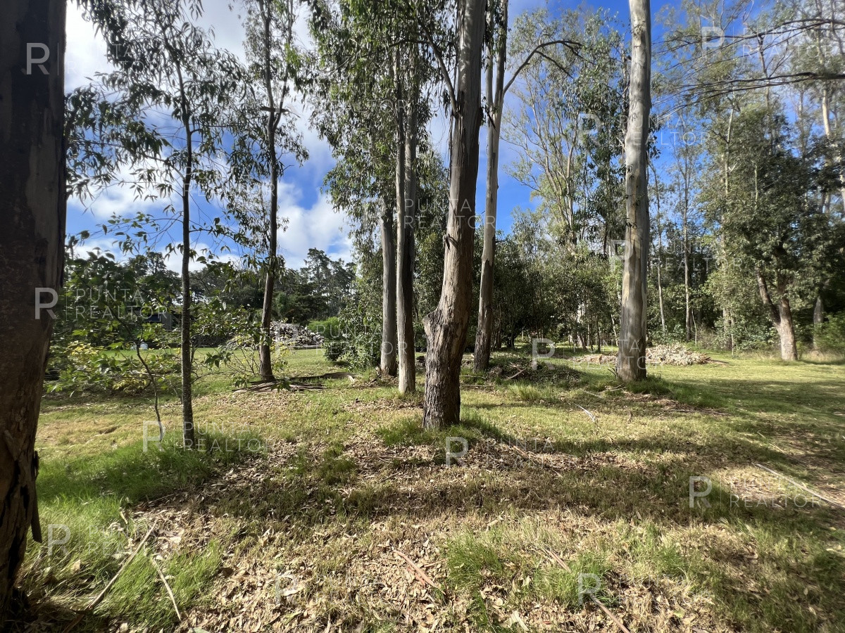 Terreno ID.1704 - 8 Terrenos de 500 m2 aprox en El Tesoro - La Barra