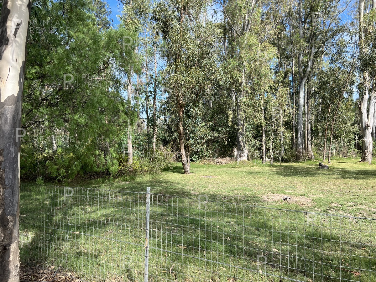 Terreno ID.1704 - 8 Terrenos de 500 m2 aprox en El Tesoro - La Barra