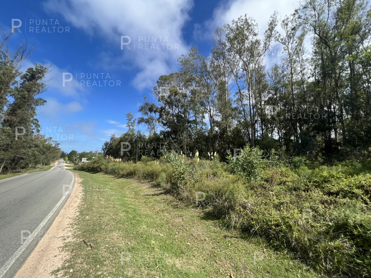 Terreno ID.1704 - 8 Terrenos de 500 m2 aprox en El Tesoro - La Barra