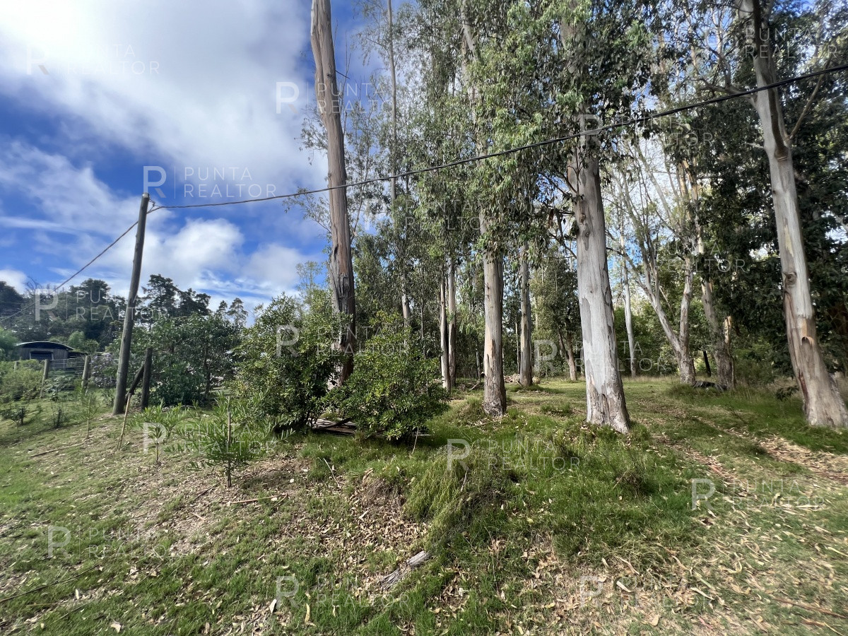 Terreno ID.1704 - 8 Terrenos de 500 m2 aprox en El Tesoro - La Barra