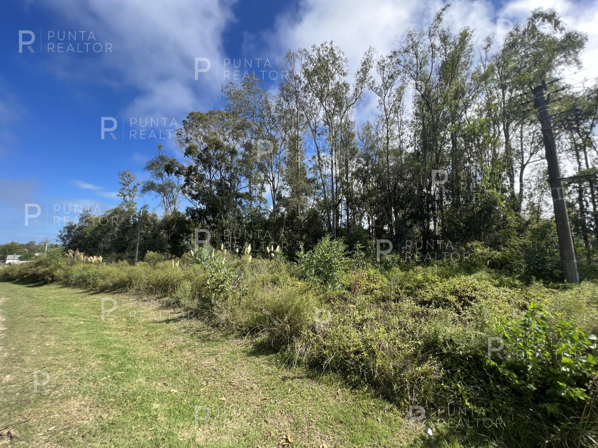 Terreno ID.1704 - 8 Terrenos de 500 m2 aprox en El Tesoro - La Barra