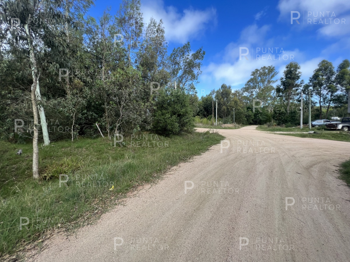 Terreno ID.1704 - 8 Terrenos de 500 m2 aprox en El Tesoro - La Barra