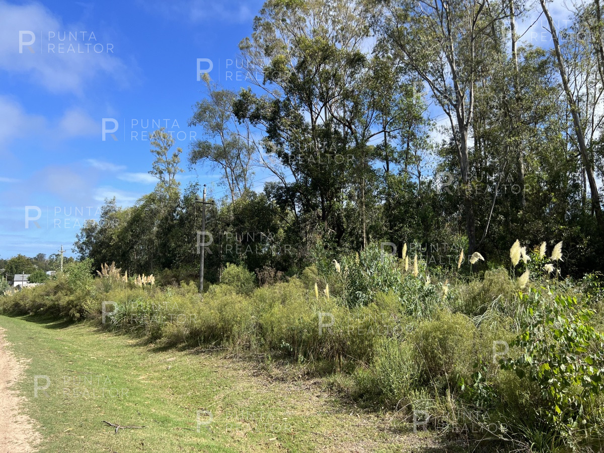 Terreno ID.1704 - 8 Terrenos de 500 m2 aprox en El Tesoro - La Barra