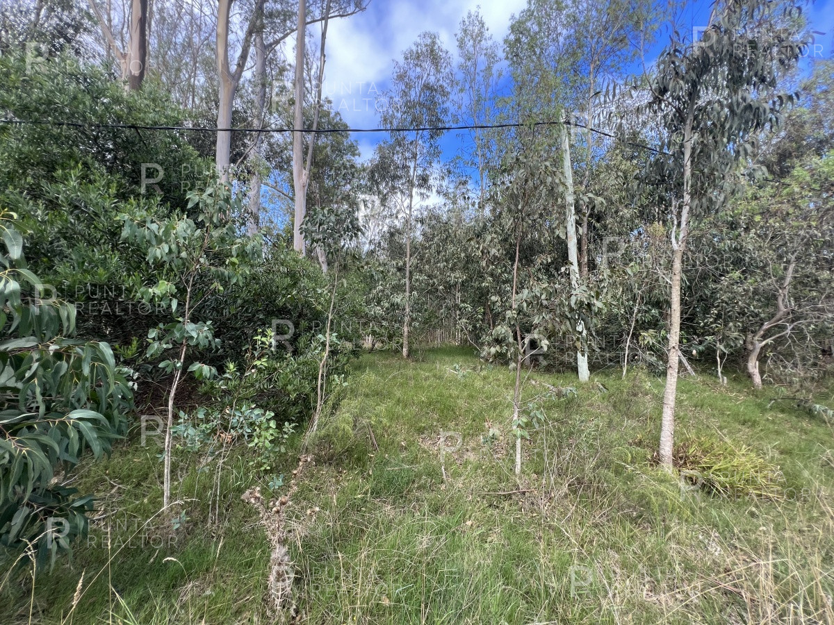 Terreno ID.1704 - 8 Terrenos de 500 m2 aprox en El Tesoro - La Barra