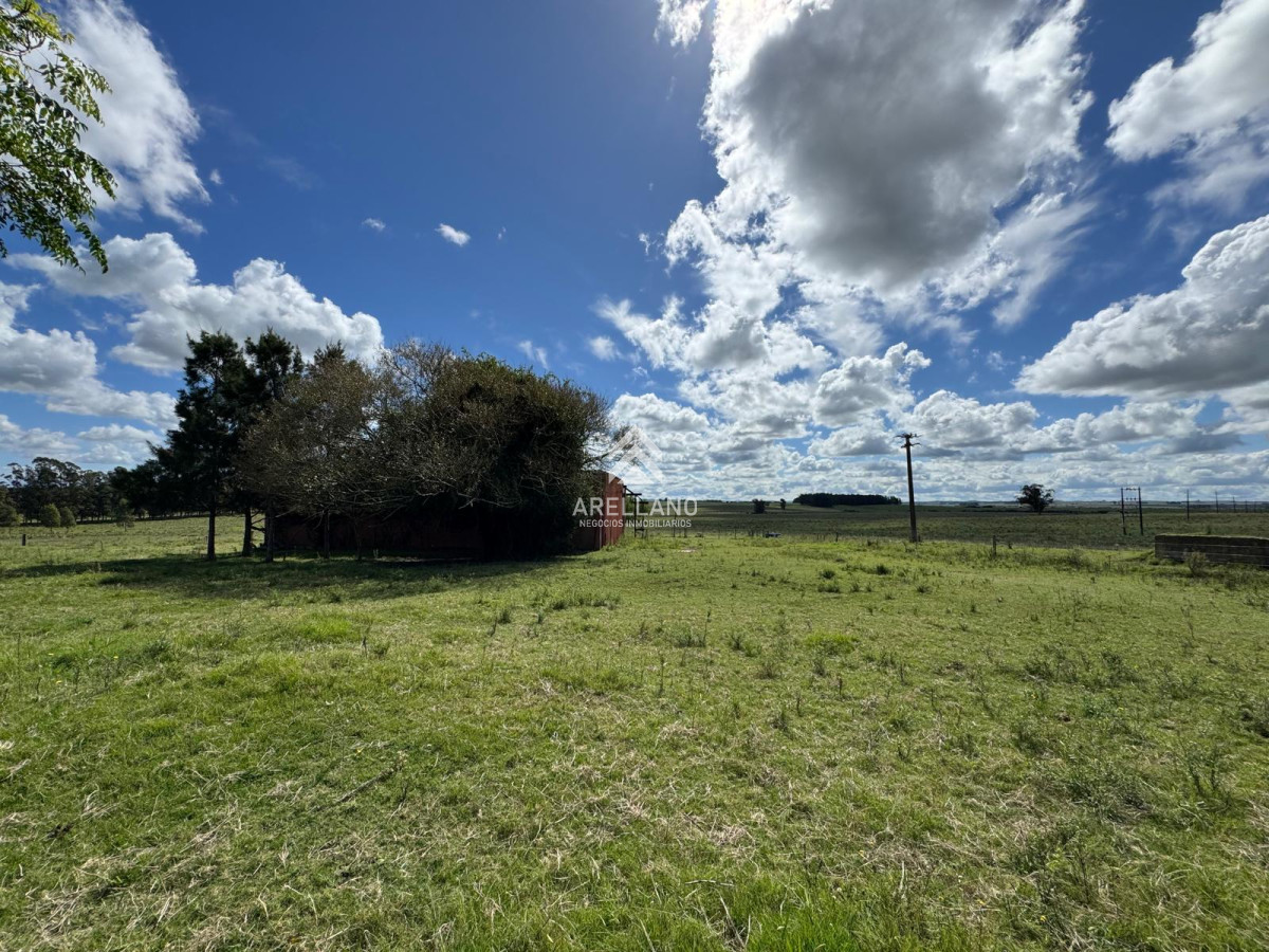 Campo Ref.4998 - VENTA DE CHACRA – 81 HECTÁREAS EN CAMINO A PUEBLO GARZÓN