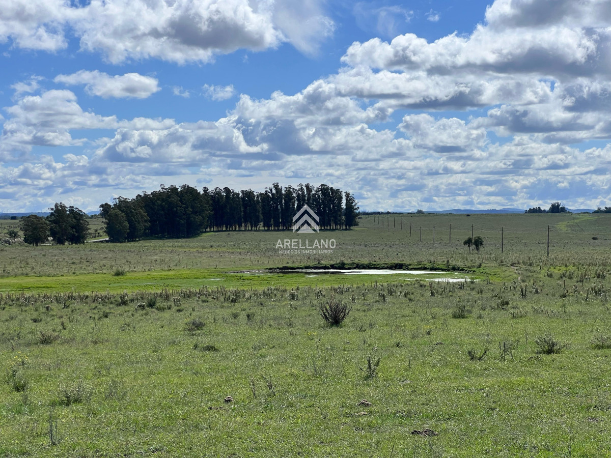 Campo Ref.4998 - VENTA DE CHACRA – 81 HECTÁREAS EN CAMINO A PUEBLO GARZÓN