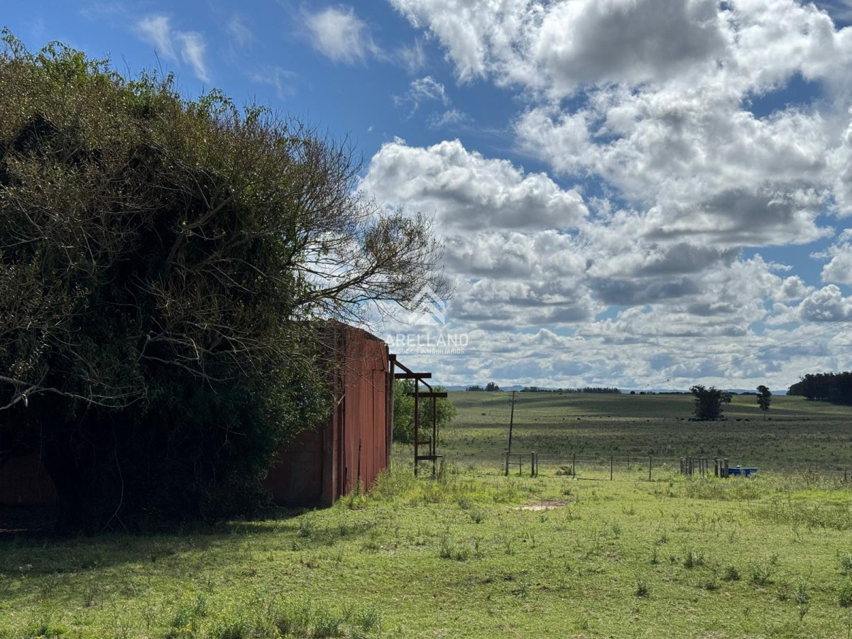 Campo Ref.4998 - VENTA DE CHACRA – 81 HECTÁREAS EN CAMINO A PUEBLO GARZÓN