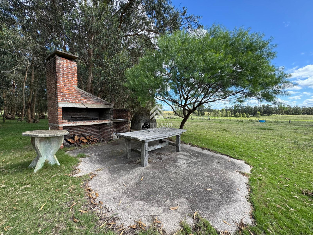 Campo Ref.4998 - VENTA DE CHACRA – 81 HECTÁREAS EN CAMINO A PUEBLO GARZÓN