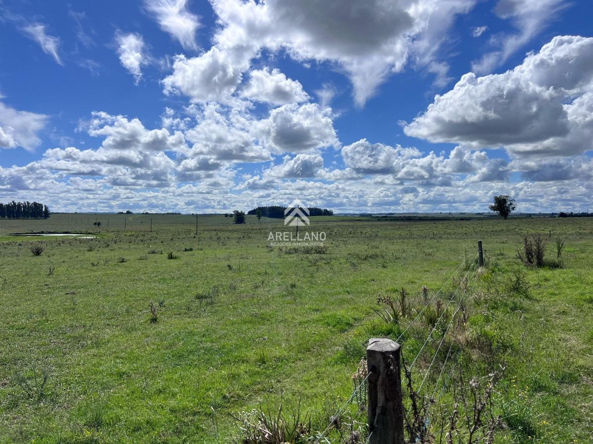 Campo Ref.4998 - VENTA DE CHACRA – 81 HECTÁREAS EN CAMINO A PUEBLO GARZÓN
