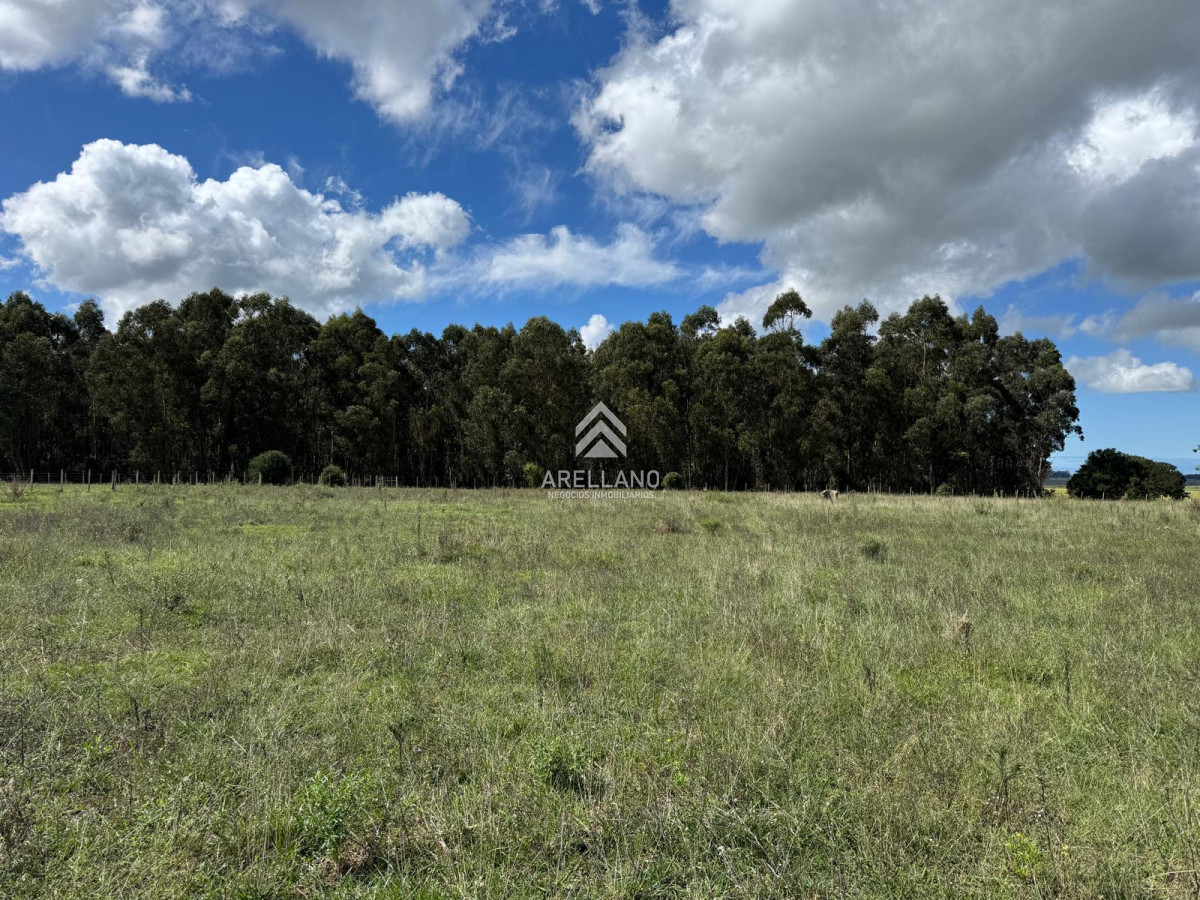 Campo Ref.4998 - VENTA DE CHACRA – 81 HECTÁREAS EN CAMINO A PUEBLO GARZÓN