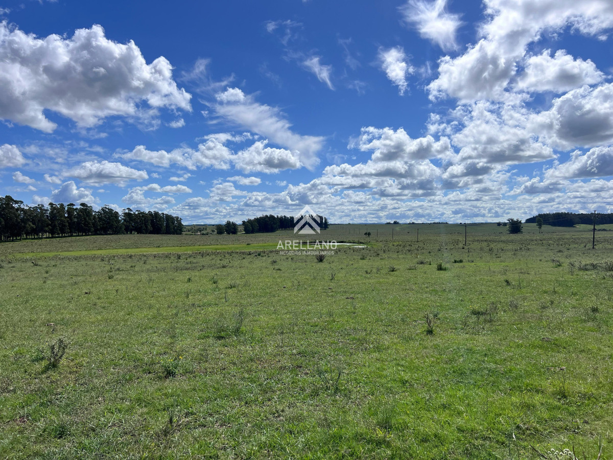 Campo Ref.4998 - VENTA DE CHACRA – 81 HECTÁREAS EN CAMINO A PUEBLO GARZÓN