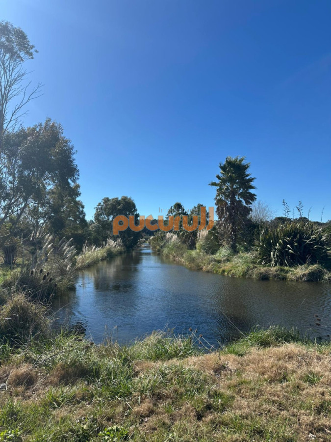 Chacra ID.2769 - VENTA CHACRA RUTA 104