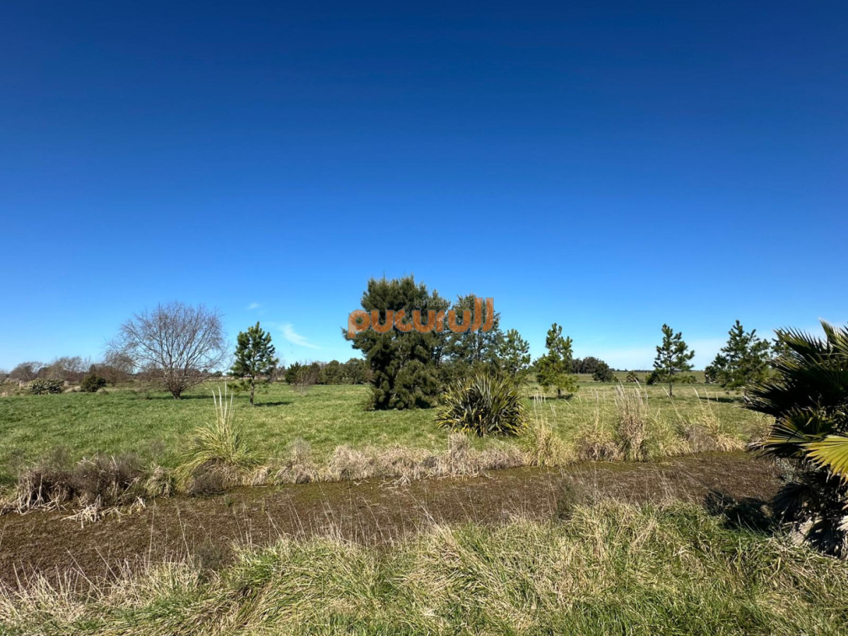 Chacra ID.2769 - VENTA CHACRA RUTA 104