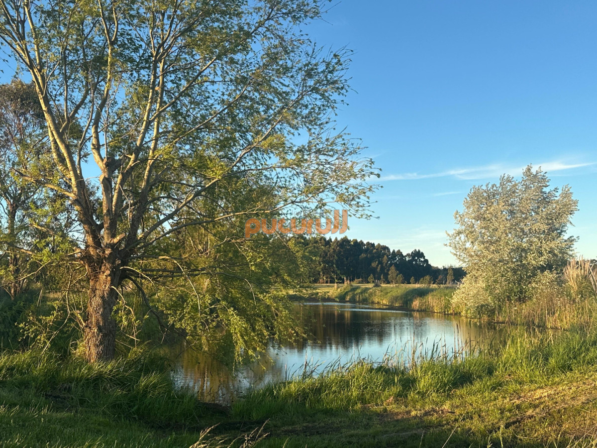 Chacra ID.2769 - VENTA CHACRA RUTA 104