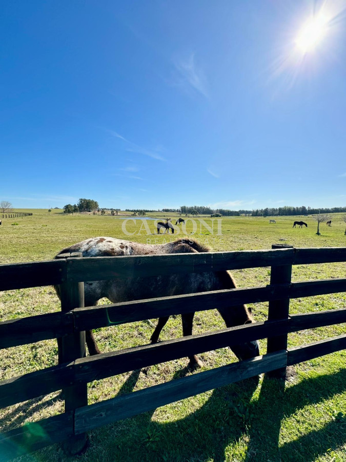 Terreno ID.2752 - Espectacular Lote en Venta en Pueblo Mio