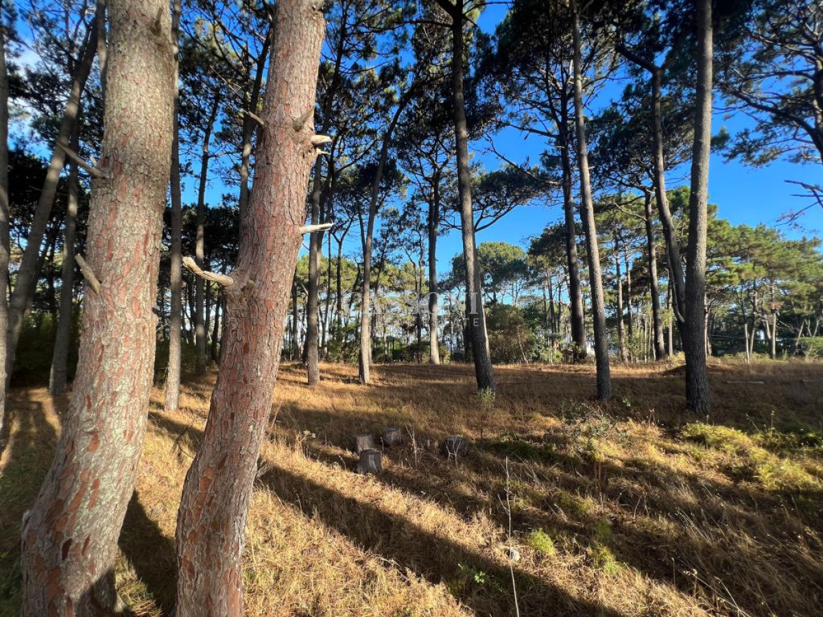 Terreno ID.1683 - TERRENO EN VENTA EN RESERVA MONTOYA 