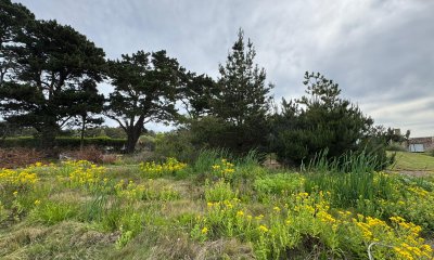 TERRENO DE 1500MTS EN SAN VICENTE