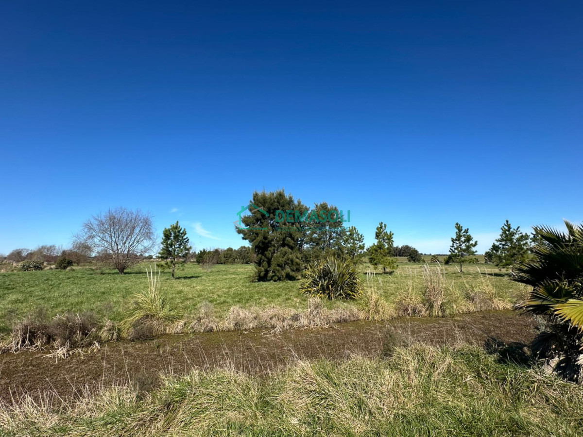 Chacra ID.1456 - VENTA CHACRA RUTA 104