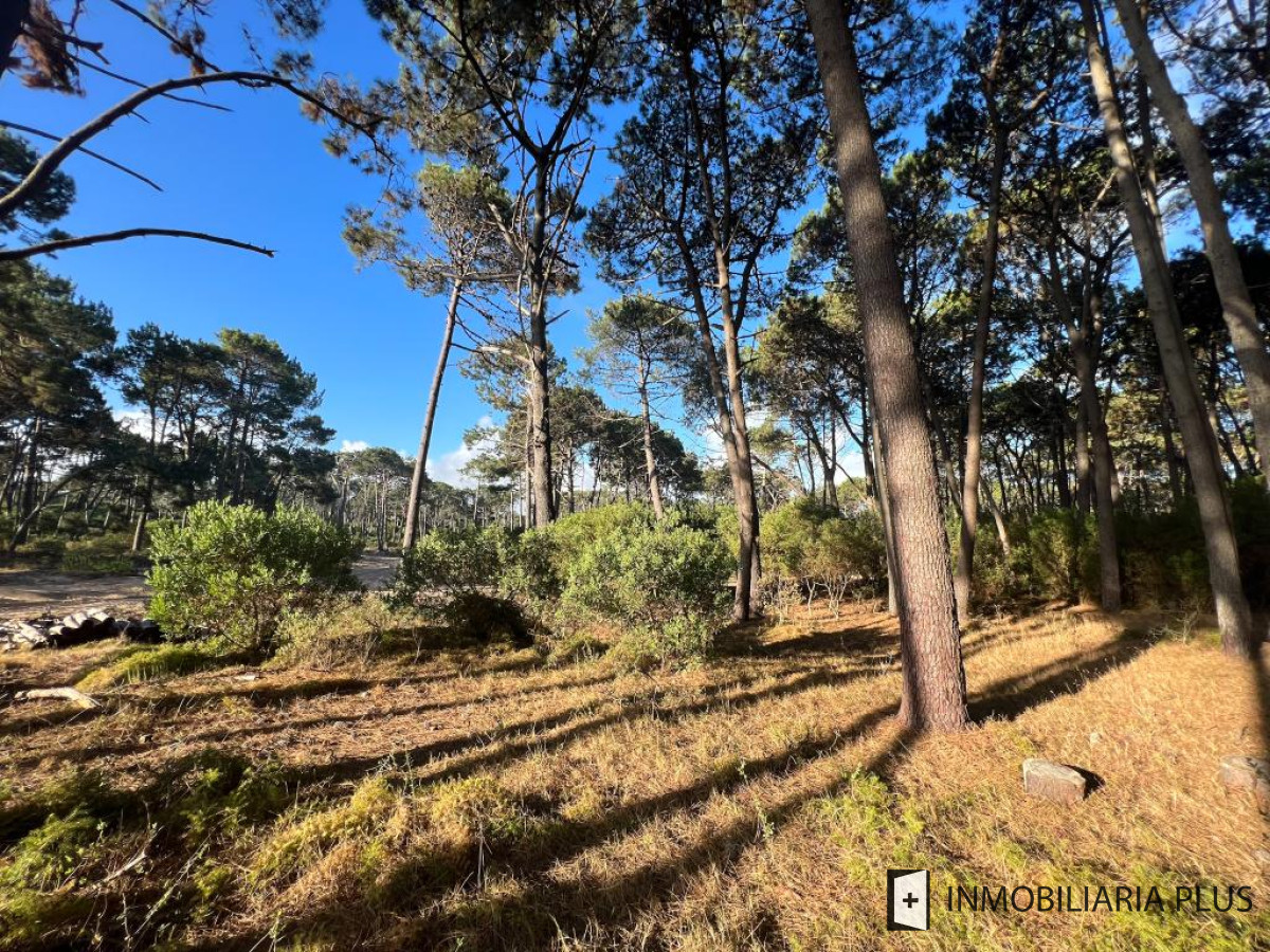 Terreno ID.767 - Venta de Terreno de 1000m2 en Reserva Montoya a 400 metros del Mar