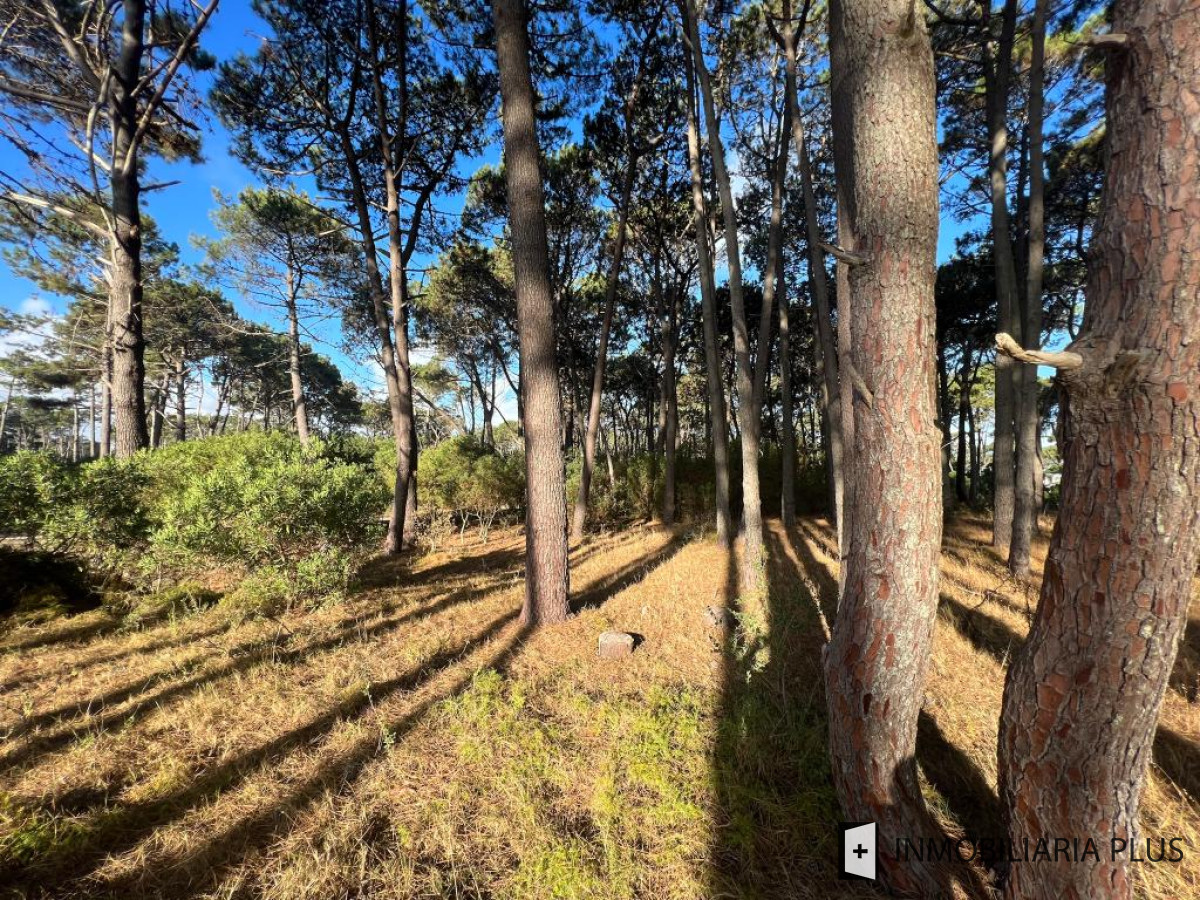 Terreno ID.767 - Venta de Terreno de 1000m2 en Reserva Montoya a 400 metros del Mar