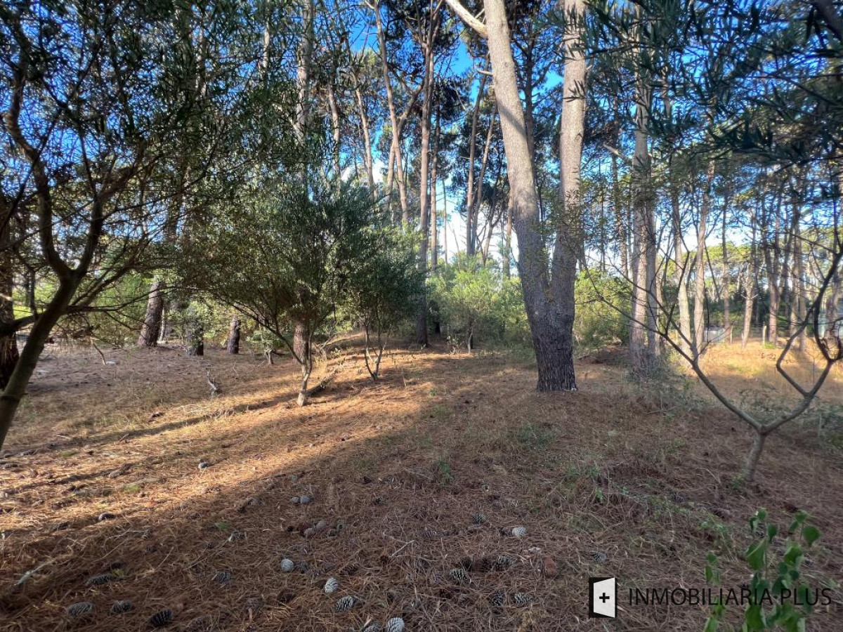 Terreno ID.767 - Venta de Terreno de 1000m2 en Reserva Montoya a 400 metros del Mar