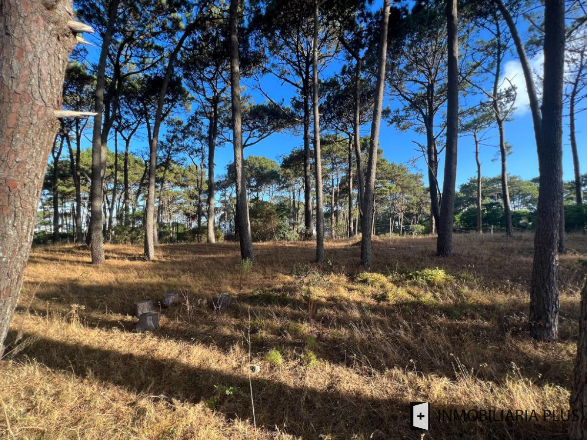 Terreno ID.766 - Vendo TERRENO en la Barra de Punta del Este RESERVA MONTOYA