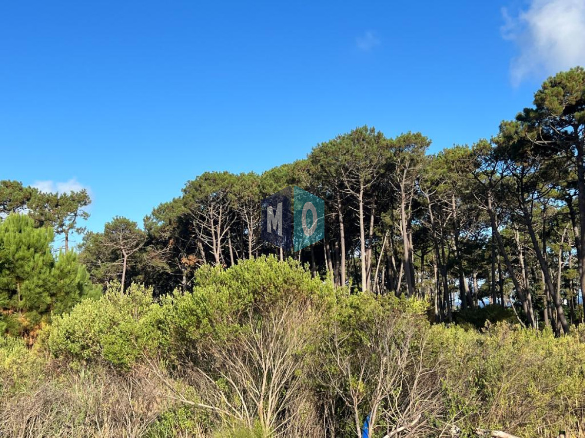 Terreno ID.439 - Terreno de 1000m2 en Reserva Montoya