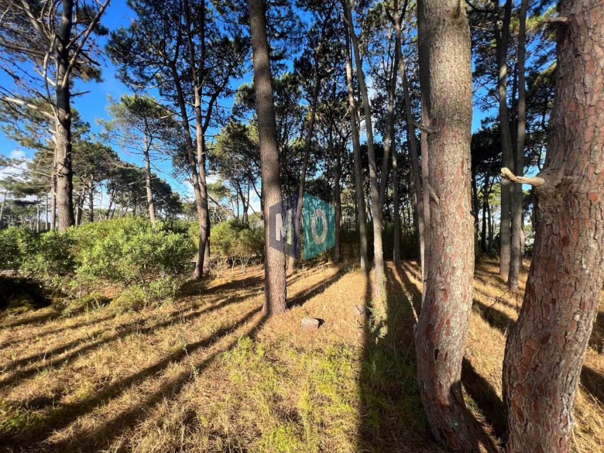 Terreno ID.439 - Terreno de 1000m2 en Reserva Montoya