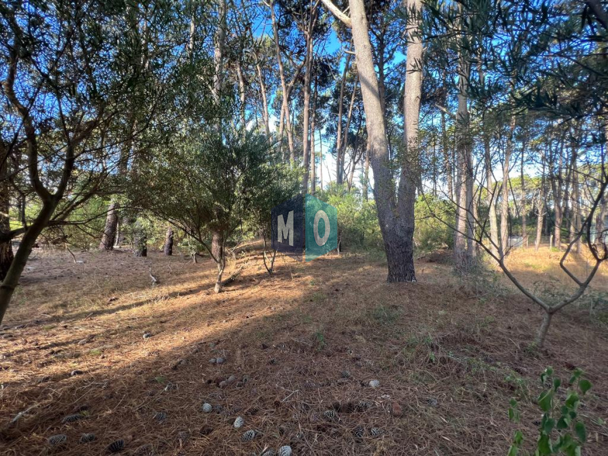 Terreno ID.439 - Terreno de 1000m2 en Reserva Montoya