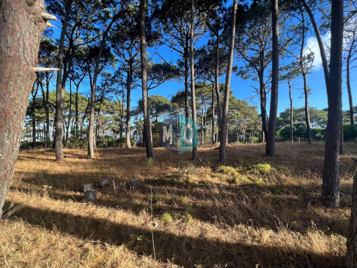 Terreno ID.439 - Terreno de 1000m2 en Reserva Montoya