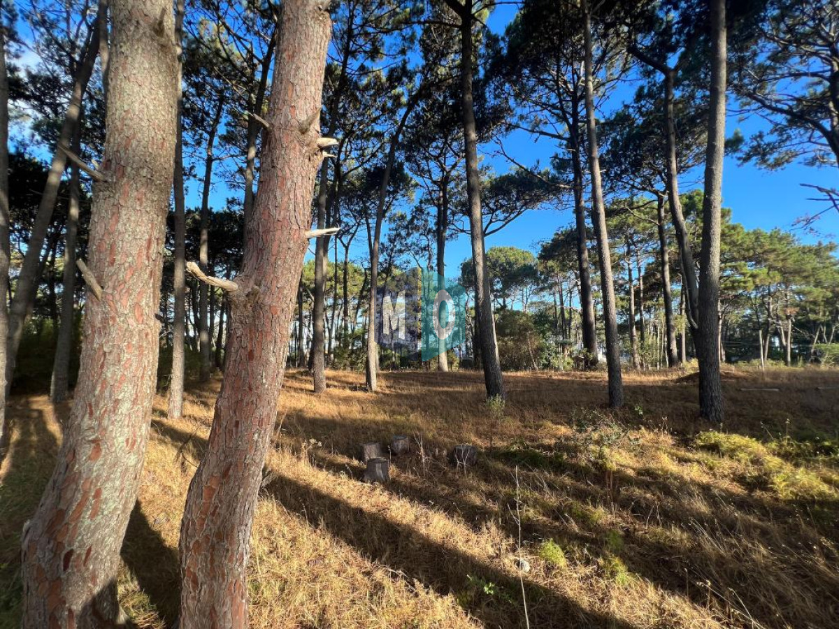 Terreno ID.439 - Terreno de 1000m2 en Reserva Montoya